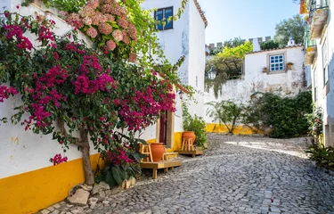 Fotobehang Óbidos is a beautiful town full of whitewashed houses covered with bougainvillea. The west coast of Portugal © Nina