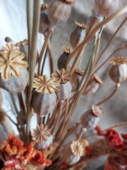 Dry flowers with stems of different colors, standing in a ceramic vase.