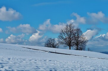 Winterlandschaft