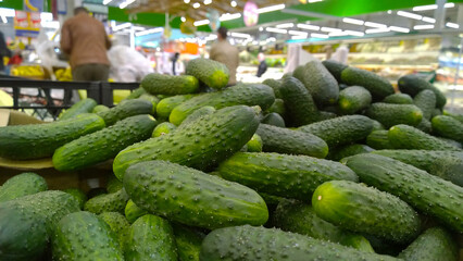 Pile of green cucumbers on blurred supermarket background. Retail industry. Vegetables on local Farmers market. Discount. Grocery store. Healthy products. Food suppliers. Cucumis sativus. Greenhouse.