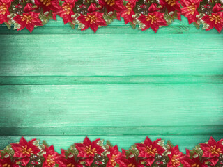 Winter wooden green mint turquoise nature background with poinsettia two sides. Texture of painted wood horizontal boards. Christmas, New Year card with copy space.