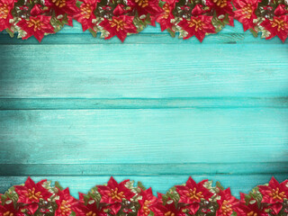 Winter wooden blue turquoise nature background with poinsettia two sides. Texture of painted wood horizontal boards. Christmas, New Year card with copy space.