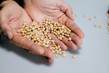 hands holding various types of cereals and legumes
