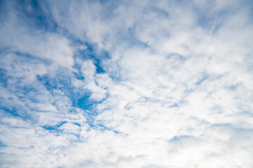 Cloudy sky background. White clouds on sky. Cloud cover. Cumuliform cloudscape