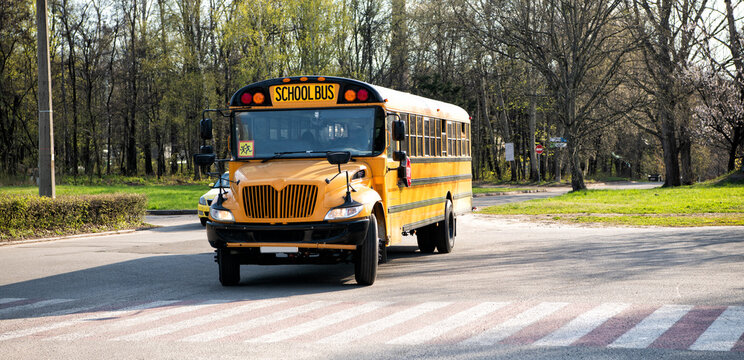 Yellow school bus parked at street outdoors, transport