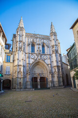 Fototapeta na wymiar Eglise Saint Pierre à Avignon.