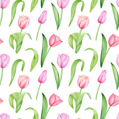Watercolor hand drawn seamless floral pattern. Pink tulips, spring flowers on white background. 