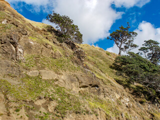 Fototapeta na wymiar Face in a rock on a hillside. Auckland, New Zealand