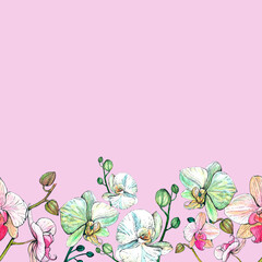 Border of orchids on a pink background