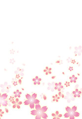 サクラ【背景・シリーズ】