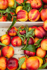 fresh ripe peaches in a box