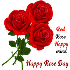 happy rose day 7 February