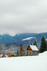 winter landscape of mountains and forests on cloudy day