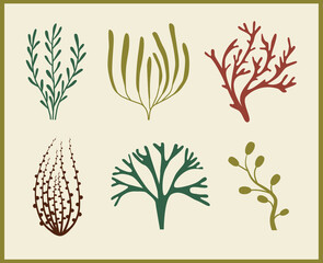 Set of six silhouettes of algae, seaweed, coral on a white background