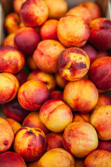 Fototapeta na wymiar fresh ripe peaches in a box
