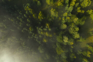 Aerial view of beautiful landscape with misty forest