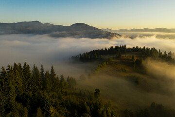 Beautiful landscape with thick mist and forest in mountains. Drone photography