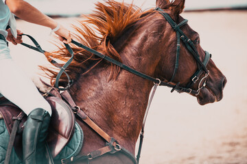 competitor and his horse jumping at an equestrian contest