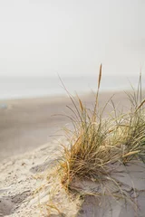 Papier peint photo Herbes des dunes dunes with grass against ocean  © volf anders