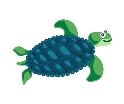 Turtle Cartoon Icon