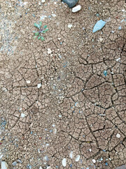 soil in the ground, old stone texture, dry land, soil, 
cracked earth