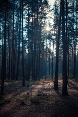 Obraz premium заброшенные места