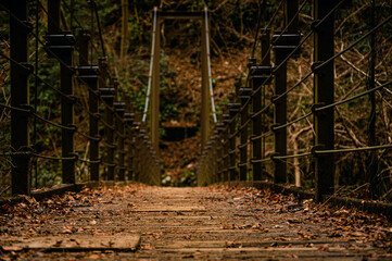 Fototapeta premium Suspension Bridge on Trail No. 4 on Mt. Takao, which is one of the more popular trails due to its relatively wide trails and its main attraction--the Miyama Bridge on Mt. Takao, Japan.