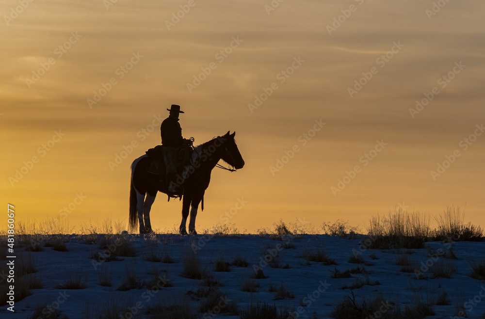 Wall mural cowboy at sunset