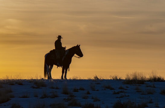 Cowboy At Sunset