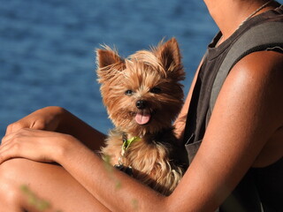 happy pupy