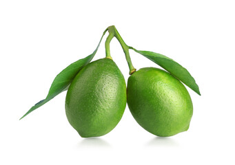 Lemon lime with leaves isolated on a white background