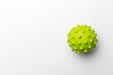 Green spiky ball toy for pet on white background