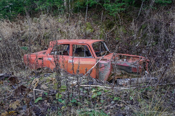 Old abandoned car in the forest