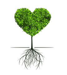 Obraz premium Green Tree with Roots. Vector outline Illustration. Plant in Garden.