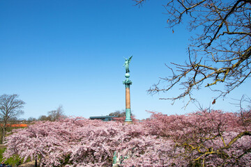 Statue of ancient goddess Victoria (Nick) with palm branch in hand at Langelinie Park in Copenhagen, Denmark. Cherry blossom  in urban park. Sakura Festival.