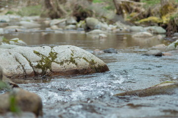 Small creek