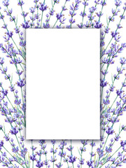 Watercolor lavender Invitation template. Botanical illustration with violet and blue flowers and branches for wedding, birthday