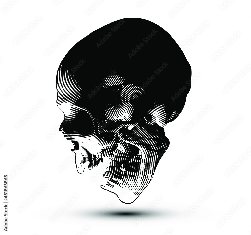Poster halftone screaming skull from 3d rendering isolated on white background. black and white vector illu