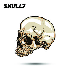 Hand drawn vector illustration of jawless skull isolated on white background.