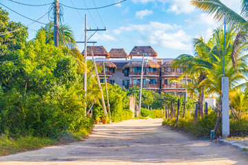 Sandy muddy road walking path and nature landscape Holbox Mexico.