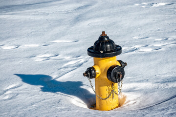 A yellow and Black fire hydrant in the snow.  Winter in upstate NY.  The yellow hydrant is in start contrast to the white snow. - Powered by Adobe