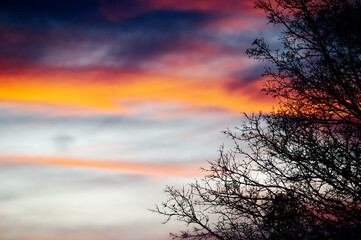 Ciel de nuages lors d'un couch&eacute; de soleil et un arbre en premier plan. 