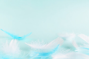 Fototapeta na wymiar 白い羽根とブルーの羽根の水色背景　