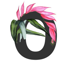 Letter O. Monogram decorated from exotic tropical Watercolor Flowers