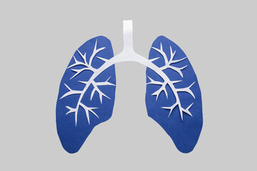 Paper human lungs on grey background