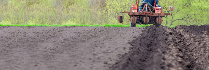 Spring agricultural work in the field, planting potatoes in the village. Red small tractor with a...