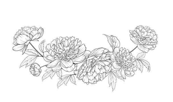 Black silhouette of a garland of peonies flowers. Vector illustration on white background.