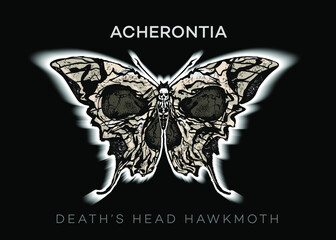 Acherontia. Death's Head Hawkmoth. Vector abstract illustration isolated on black background in the style of modern grunge tattoos.