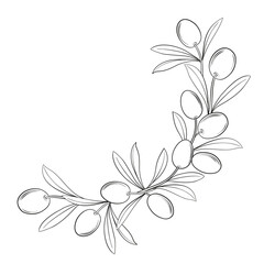 Vector drawing of a frame from olive branches on a black and white background.