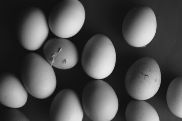 Eggs as group for raw farm fresh food background in black and white.